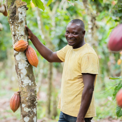 Nestlé uses guaranteed traceable cocoa ingredients for a range of Ireland's chocolate brands   