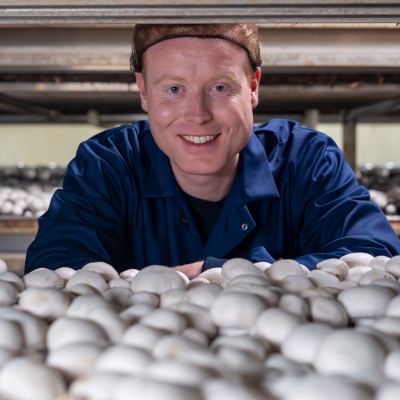 M&S launches final campaign in its Farm to Foodhall journey with Monaghan Mushrooms