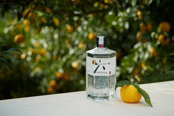 ROKU GIN MAKES ITS ESSENCE KNOWN IN DUBLIN